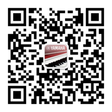国际代言 全国甄选键盘达人 ——首届GA黄金甲电子键盘比赛正式启动
