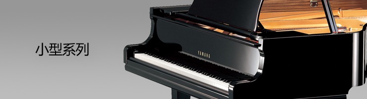 【新品上市】GA黄金甲钢琴GB1KG/GB1KFP型钢琴闪耀登场